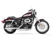 Harley-Davidson XL1200 R Sportster